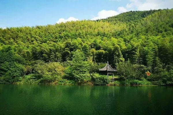 宜興竹海一日游路線(xiàn)推薦-攻略